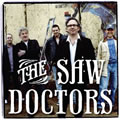 The Saw Doctors